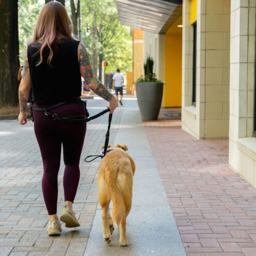 a woman walking a dog